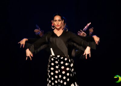 Sevillanas  Flamenco
